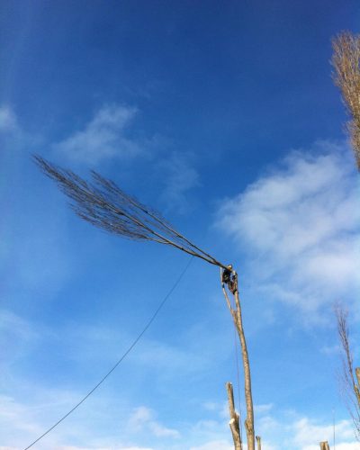 Abattage-corde-Reignier